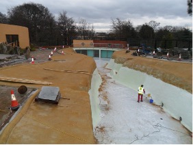 Image of the Penguin Pool, Edinburgh Zoo project